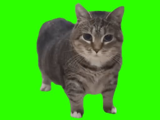 BrainRot Cat image