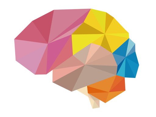 Brain Wars image