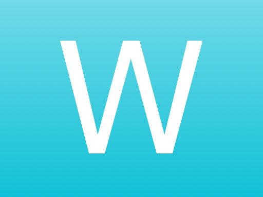 Wunderbrain image